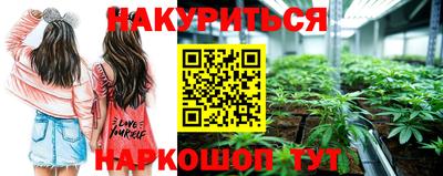 spice Бийск
