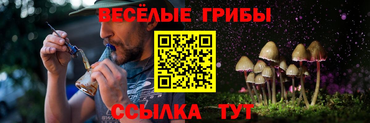 Гагарин  Галлюциногенные грибы GOLDEN TEACHER  Вход с VPN 